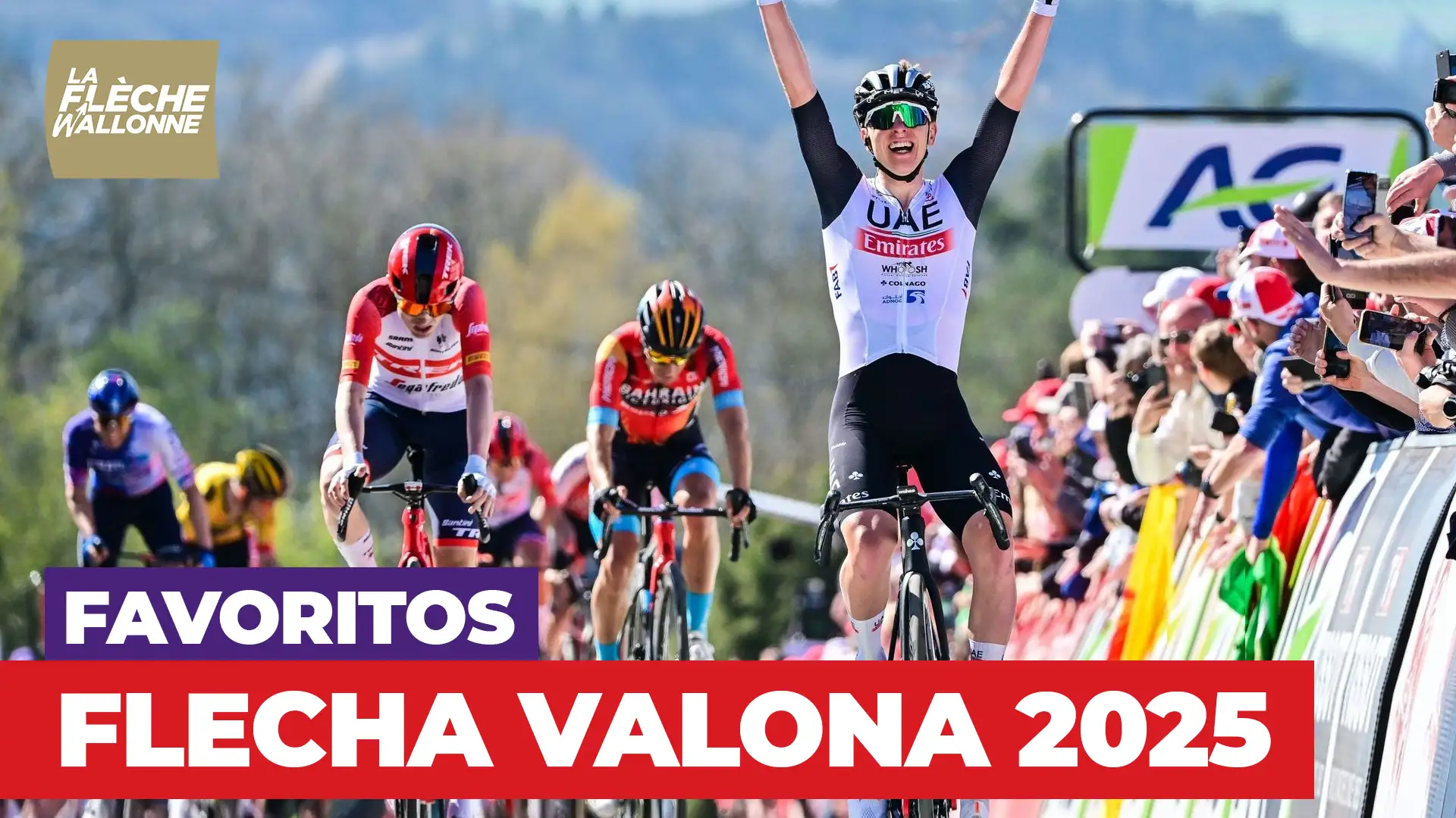 flecha valona 2025 - favoritos